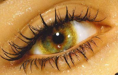 Un oeil
